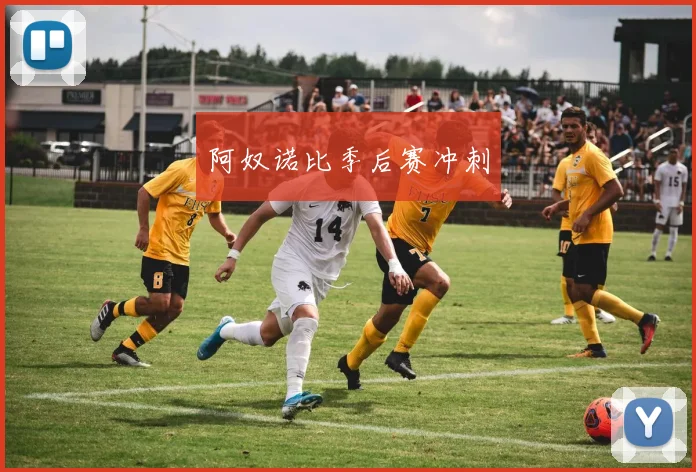 阿奴诺比季后赛冲刺