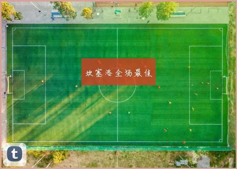坎塞洛全场最佳