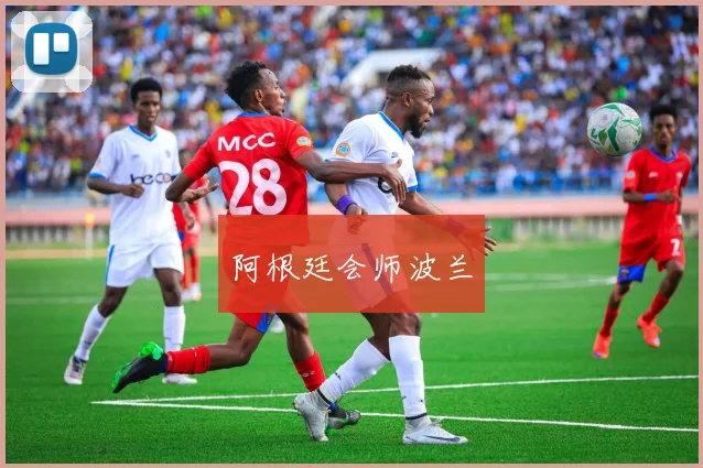 阿根廷会师波兰