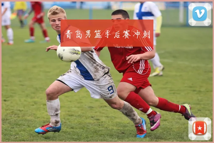 青岛男篮季后赛冲刺