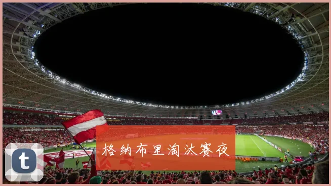 格纳布里淘汰赛夜