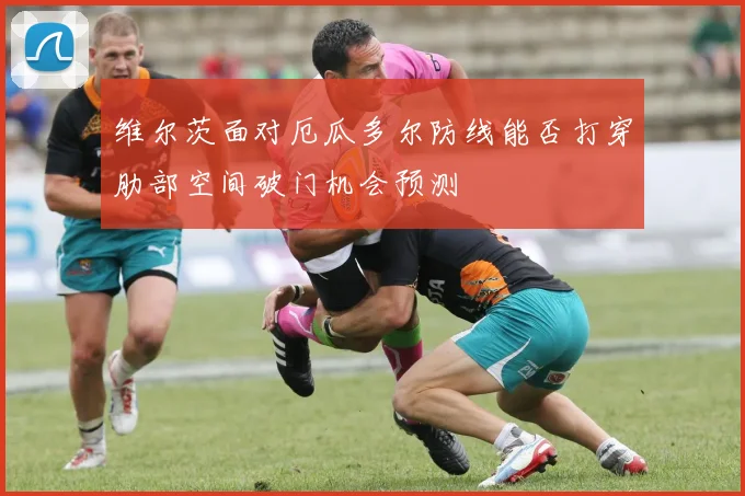 维尔茨面对厄瓜多尔防线能否打穿肋部空间破门机会预测