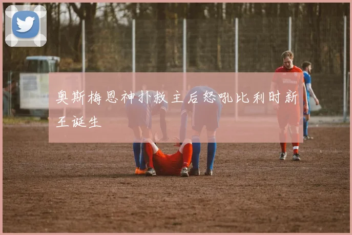奥斯梅恩神扑救主后怒吼比利时新王诞生