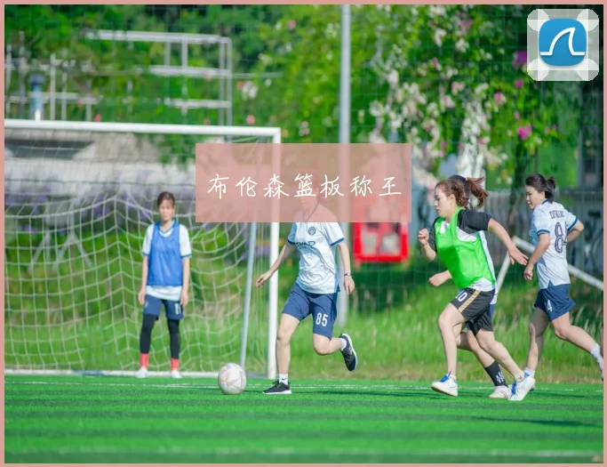 布伦森篮板称王