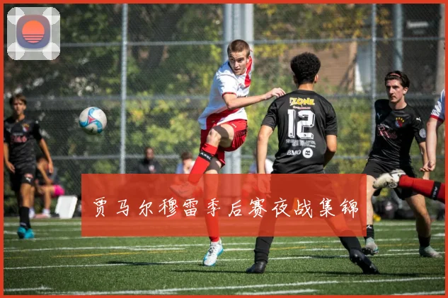 贾马尔穆雷季后赛夜战集锦