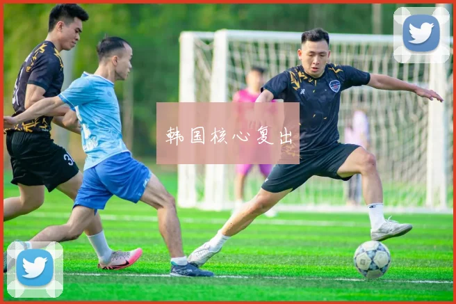 韩国核心复出