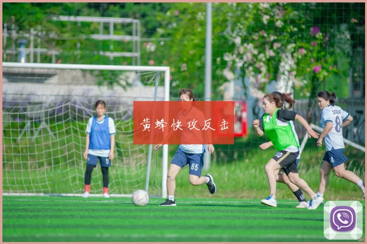 黄蜂快攻反击