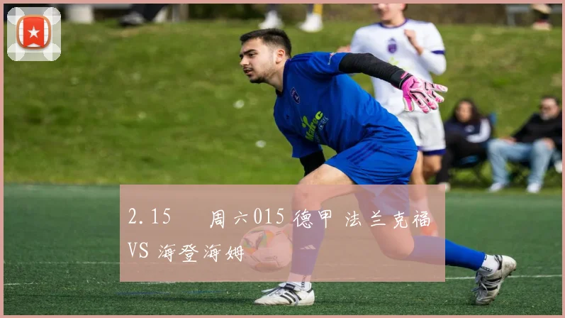 2.15 ▣ 周六015 德甲 法兰克福 VS 海登海姆