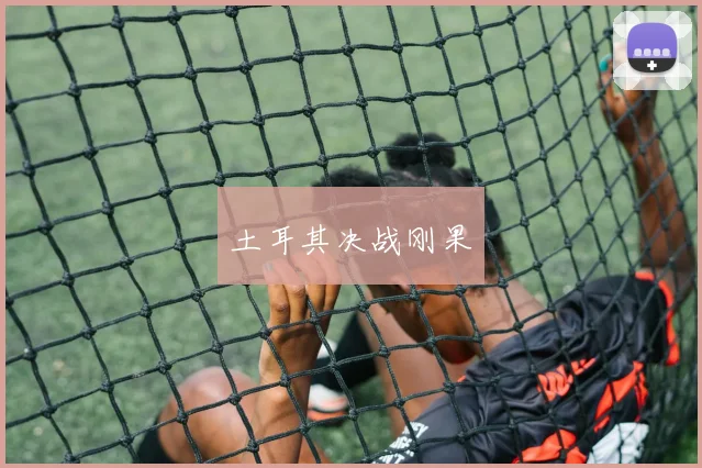 土耳其决战刚果