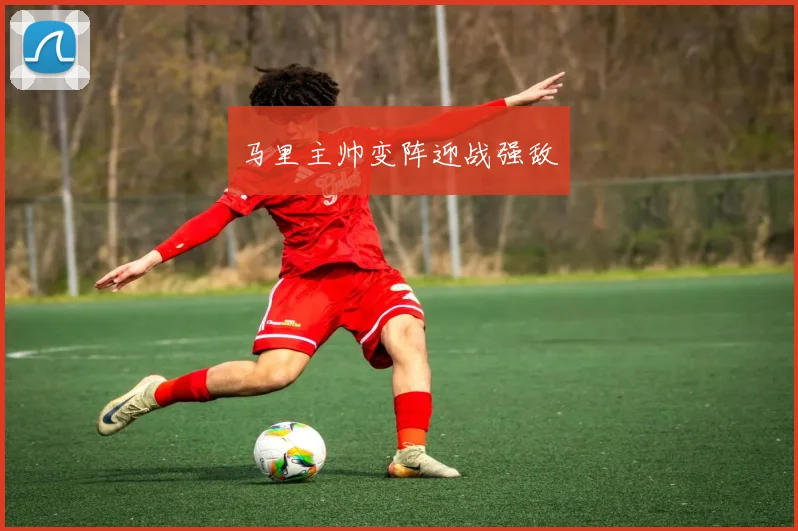 马里主帅变阵迎战强敌
