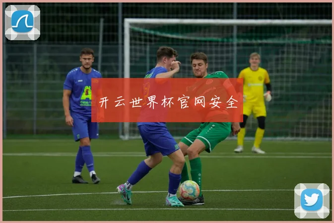 开云世界杯官网安全