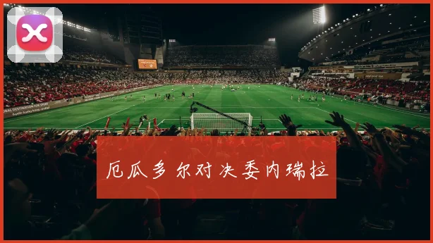 厄瓜多尔对决委内瑞拉