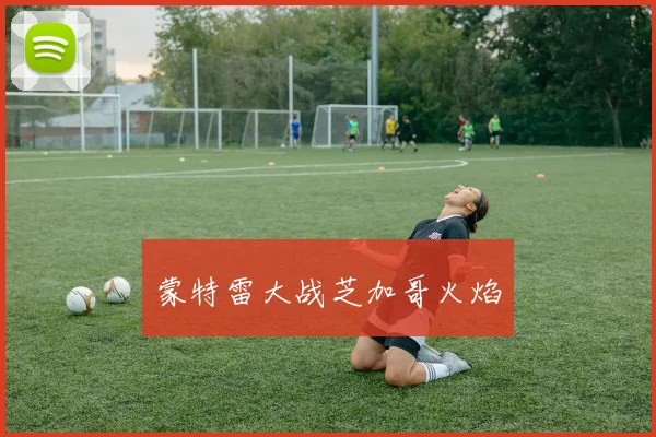 蒙特雷大战芝加哥火焰