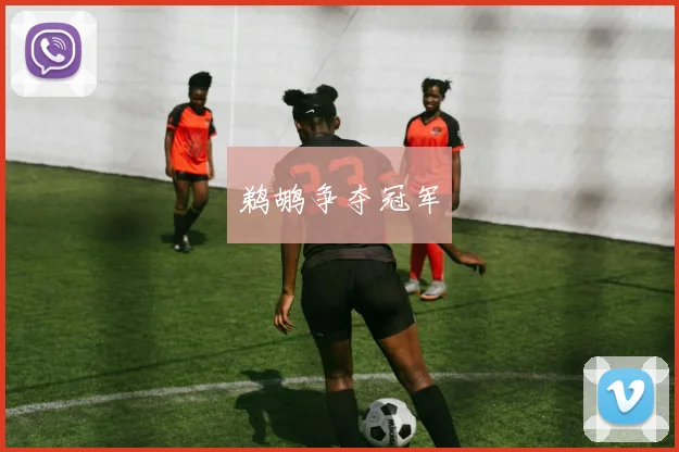 鹈鹕争夺冠军