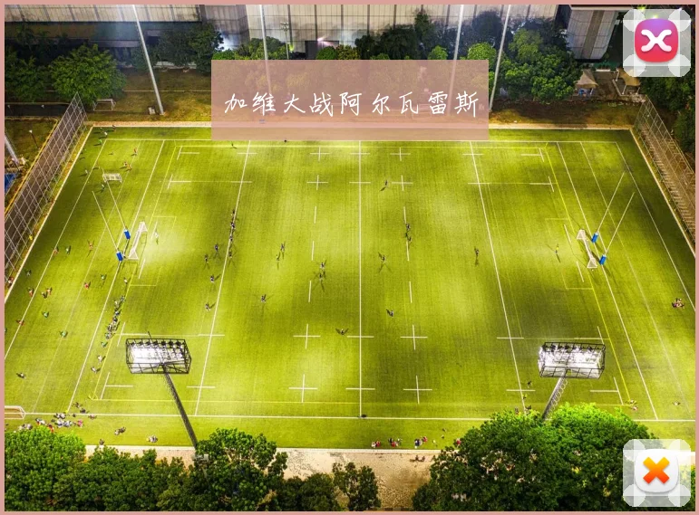 加维大战阿尔瓦雷斯