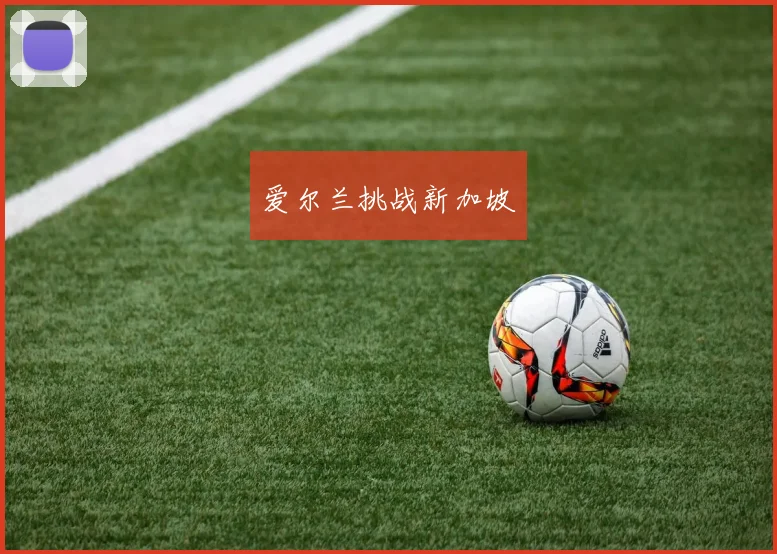 爱尔兰挑战新加坡