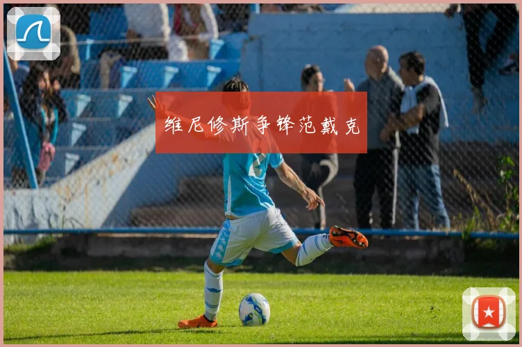 维尼修斯争锋范戴克