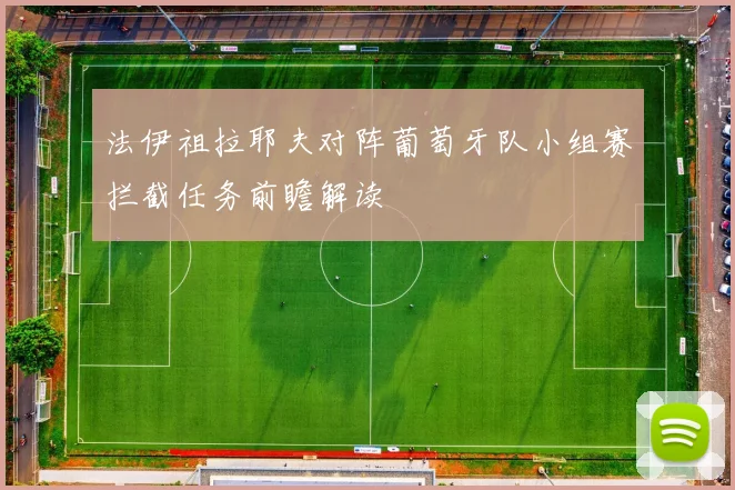 法伊祖拉耶夫对阵葡萄牙队小组赛拦截任务前瞻解读