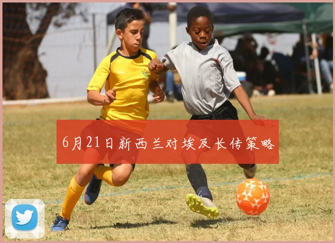 6月21日新西兰对埃及长传策略