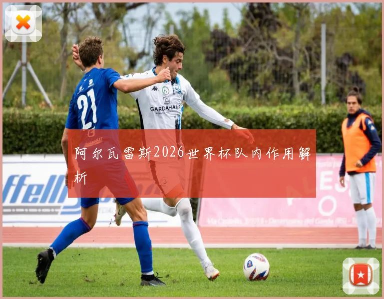 阿尔瓦雷斯2026世界杯队内作用解析