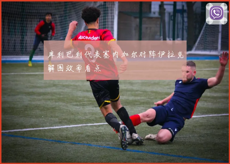 库利巴利代表塞内加尔对阵伊拉克解围效率看点