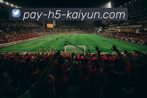 开云Kaiyun网页版入口国际认证