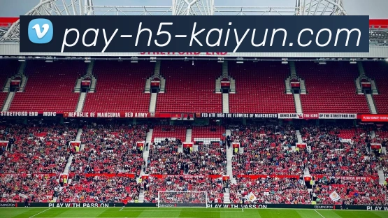 开云Kaiyun网页版入口未来规划
