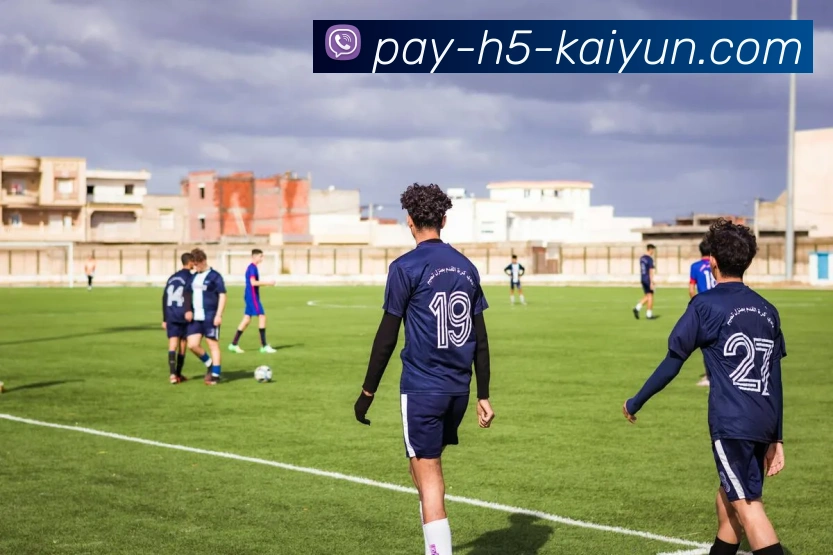 开云Kaiyun网页版入口 APP界面展示