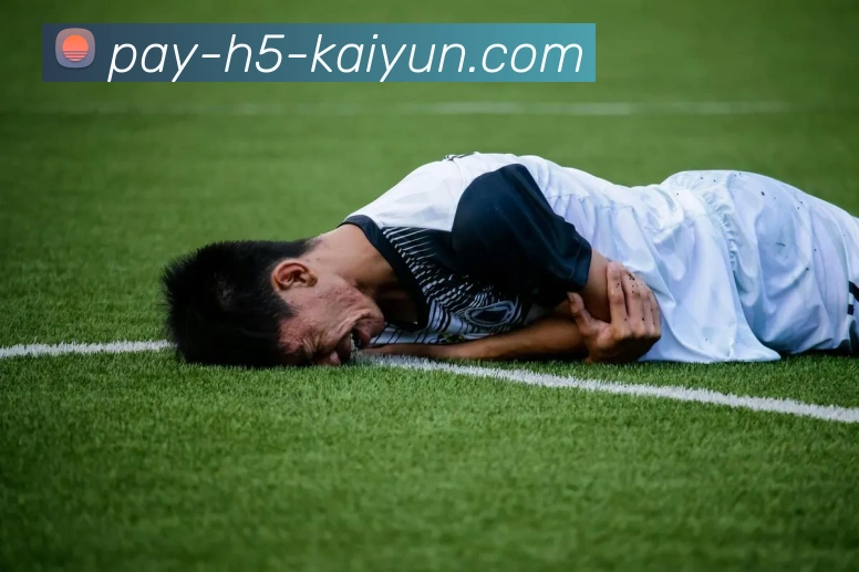开云Kaiyun网页版入口辅助工具