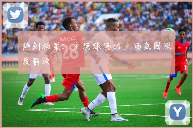 热刺档案：主场球场的主场氛围深度解读